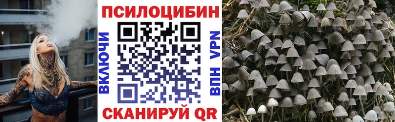 Псилоцибиновые грибы прущие грибы  Купить где  Аша 